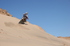 IMG 9264