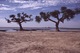 am Niger