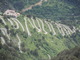 DSCN0132