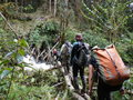 Papua2012 1061