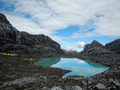 Papua2012 646